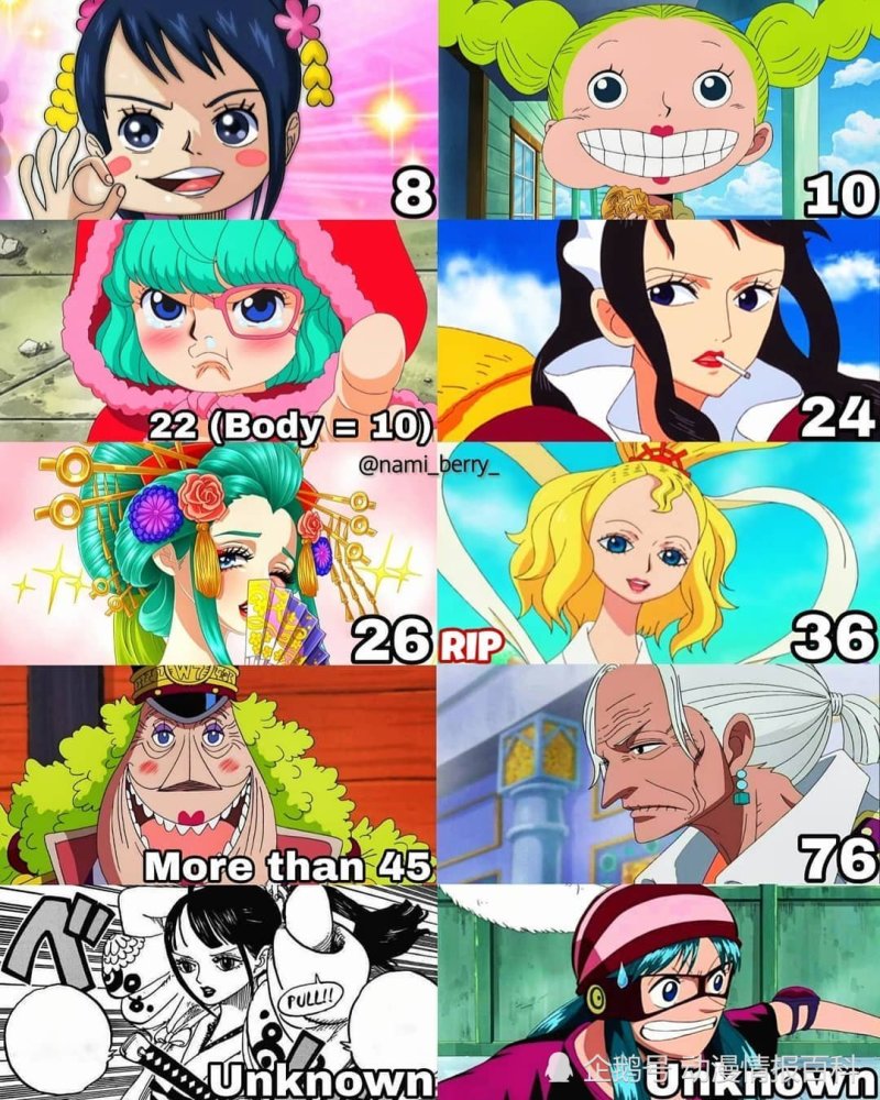 海贼王中女性角色的真实年龄 快来看看你的女神的真实年龄吧