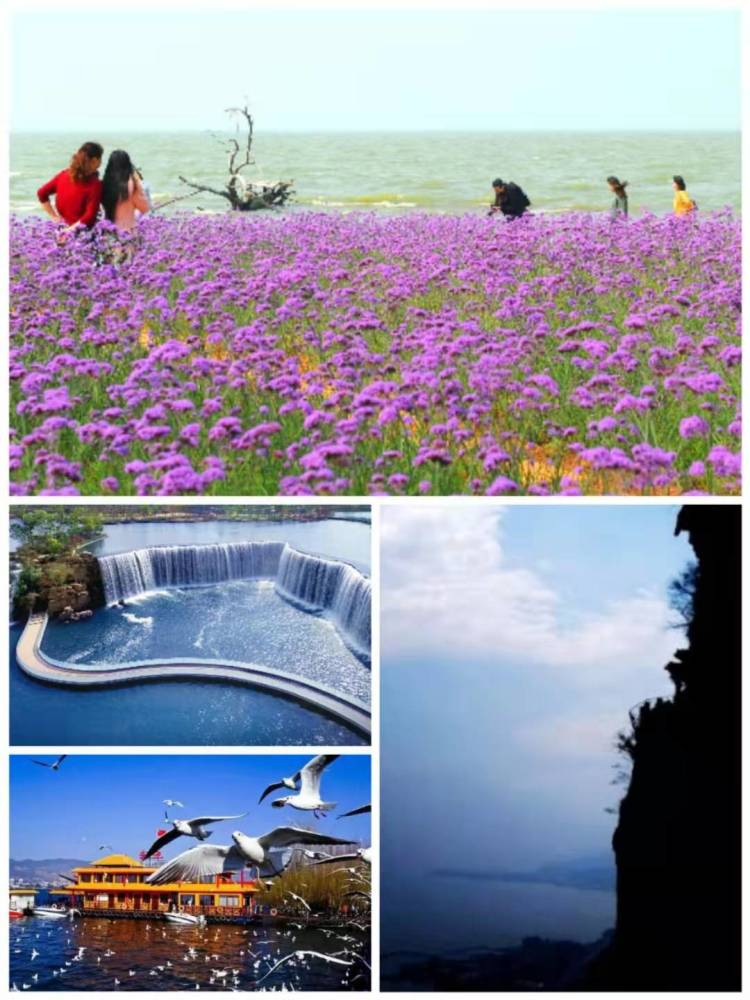 看 30年来最好水质 五百里滇池奔来眼底 九千丈龙门腾入云端