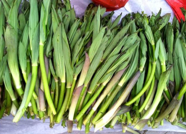云南怒江这种山珍野菜,一般人都没吃过,吃着先苦后甜脆嫩可口