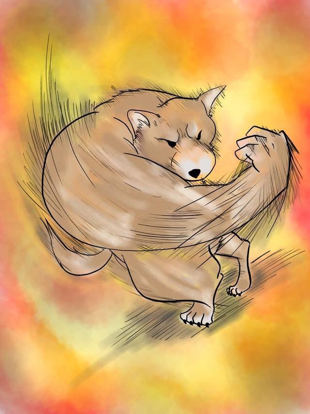 因想象力意外爆红 萌宠界掀起肌肉明星风潮