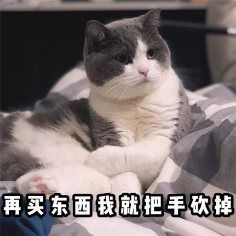 沙雕表情包上线我猫主子在线发四在买东西我就把手砍掉