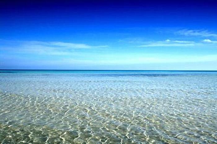 最清澈的海水 透明的能看清海底的生物 却成了最大的杀手 腾讯新闻