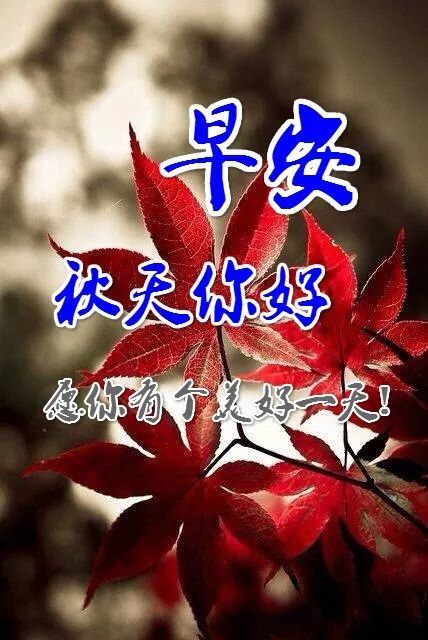 關於秋季暖心早上好問候語圖片大全秋天問候大家早上好的祝福語