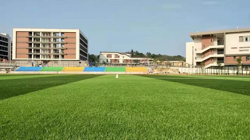 今天 华师附属学校落成启用 这是你羡慕不来的濠江