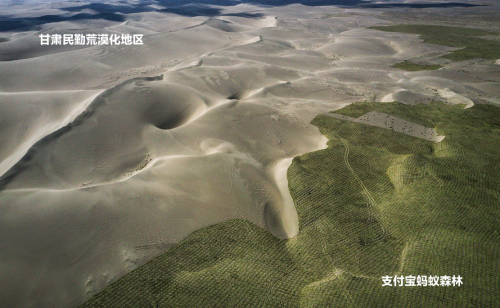 马云天价造的蚂蚁森林3年了看到卫星拍摄照片网友泪目