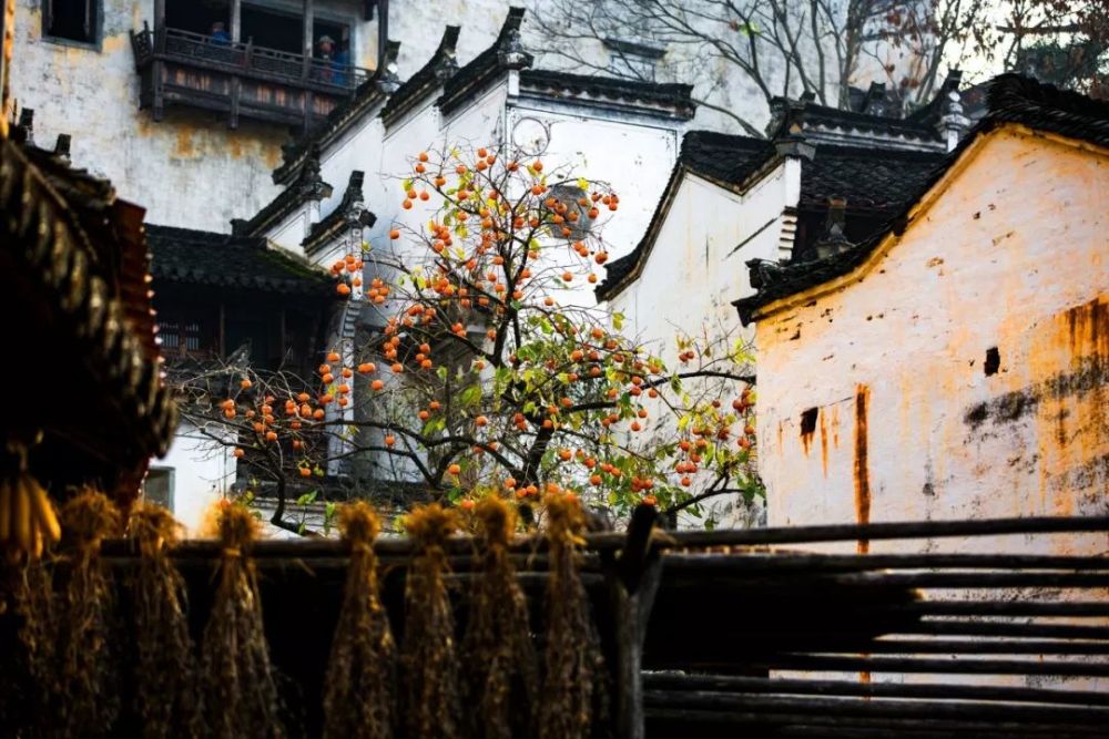 苏州|一入深秋，中国就穿越了几千年