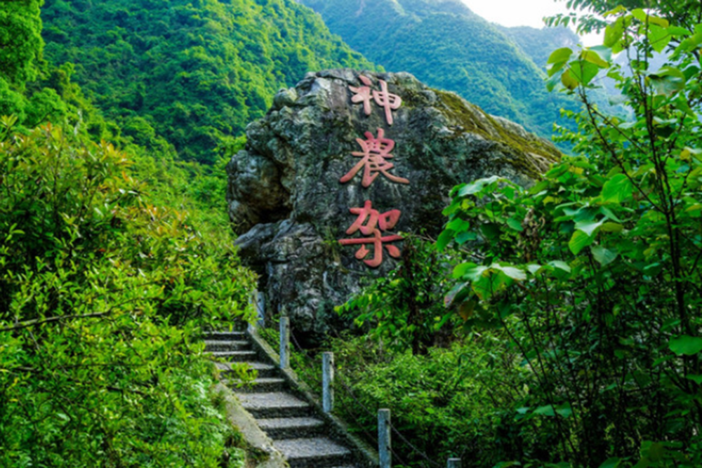 綠色草甸綿延千里,高山石林突兀幽奇,如此美景盡在神農架風景區_騰訊