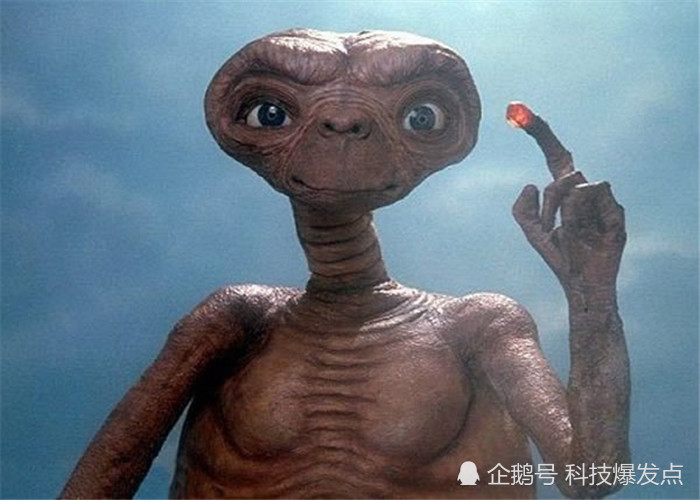 外星一句(外星ofo)