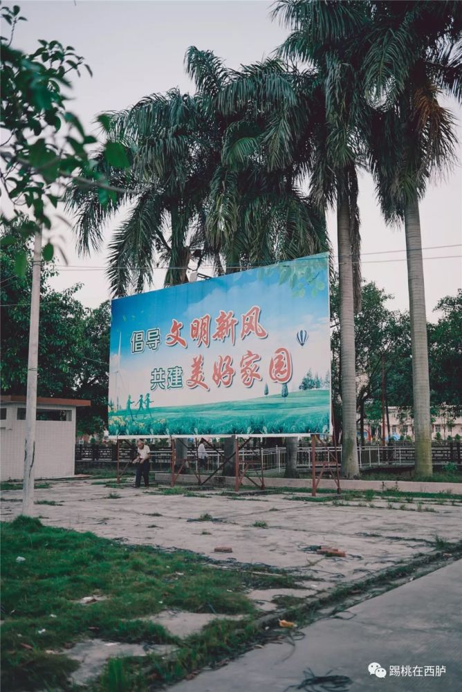 西凤公园可谓是全西胪最早建立的大型公园而西凤村当年也是最早被评为