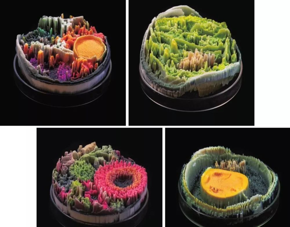 当科学遇上艺术,打造一种不寻常的美