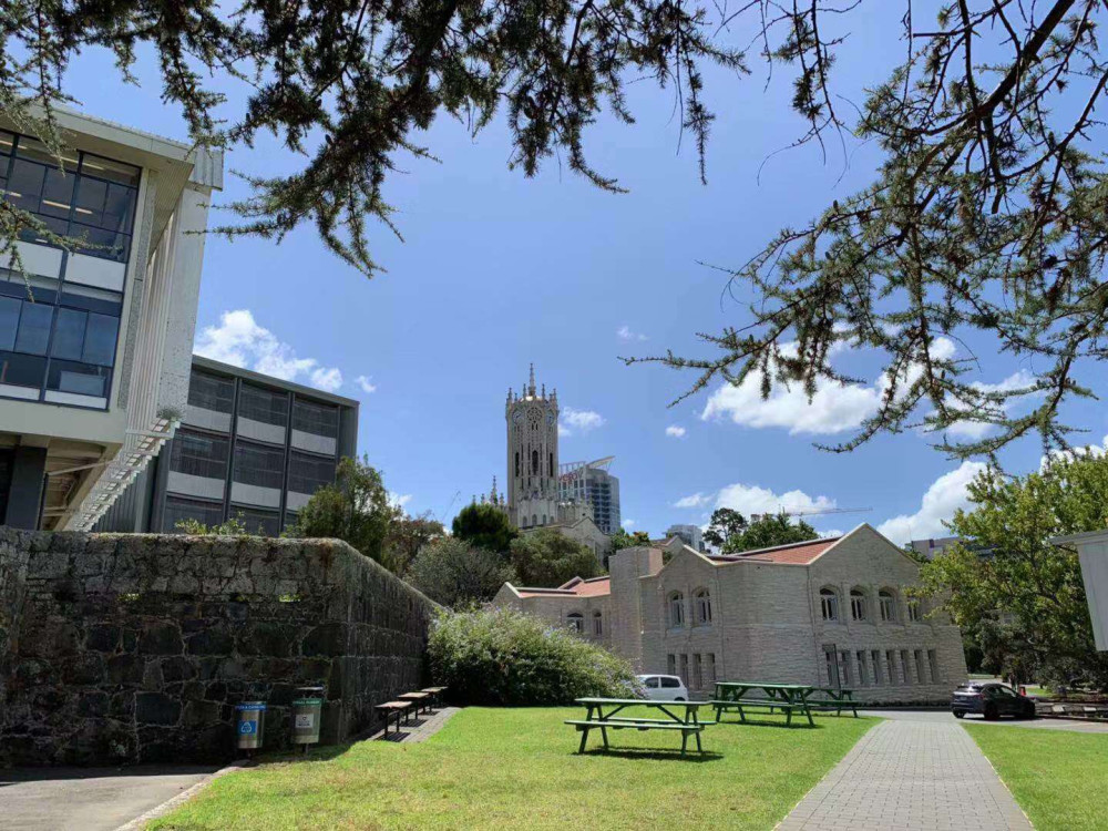 梅西大学2020Qs排名_2020年QS世界大学排名梅西大学名列世界第287位(2)