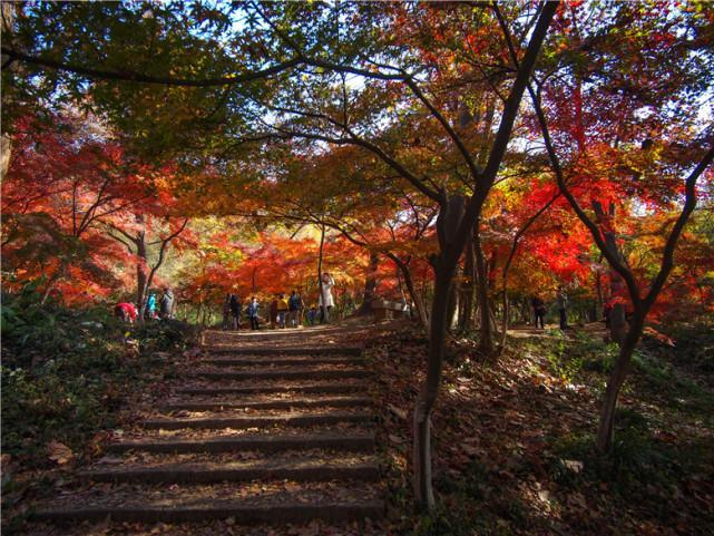 六朝勝蹟看棲霞山風景品半部金陵史