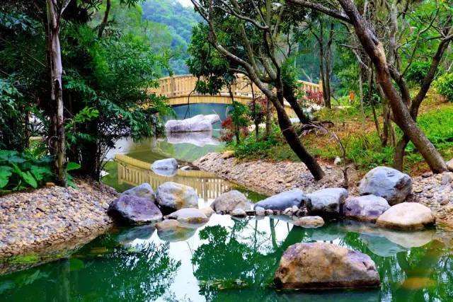 安徽黄山情人谷