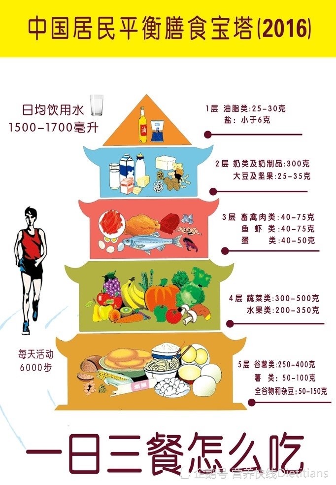 营养与健康系列之二 探索中国模式膳食结构如何做到膳食平衡