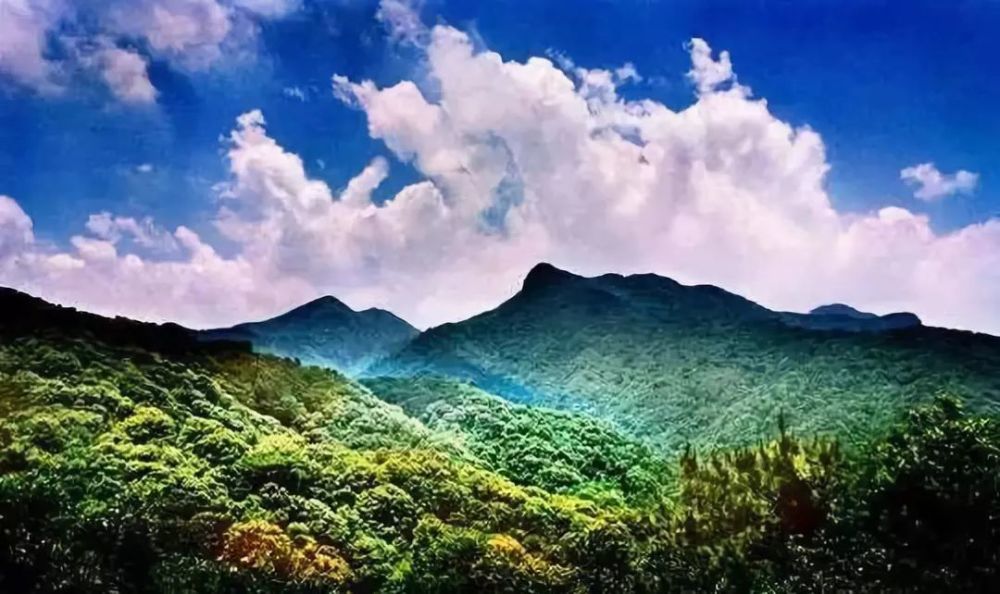 王子山森林旅游度假区