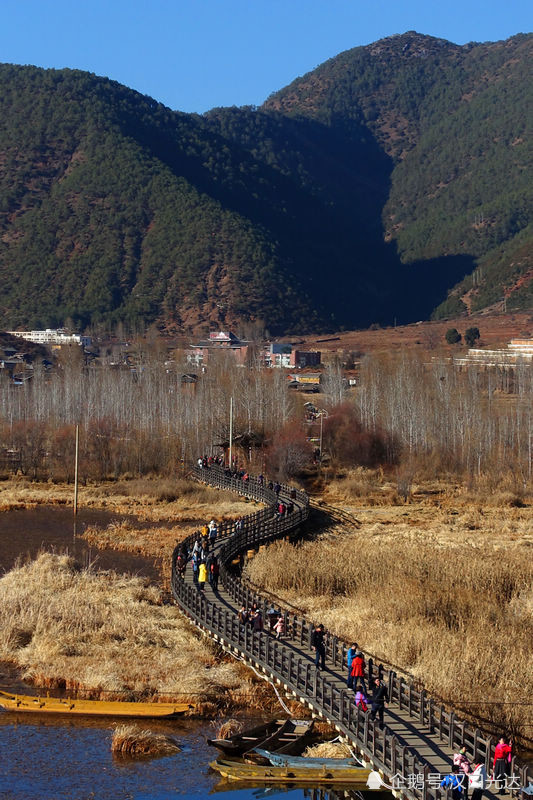 最好不要走到头的"走婚桥"云南摩梭人的 草海 爱情桥
