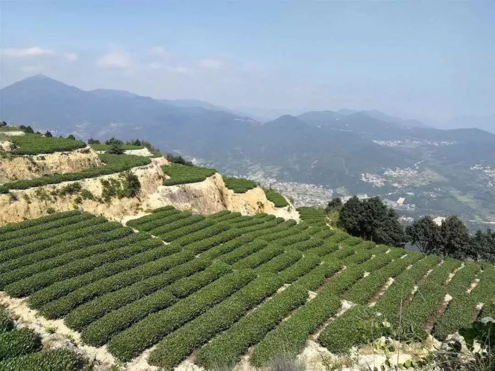 东田镇这个村入选南安乡村振兴试点村,快来点赞支持!