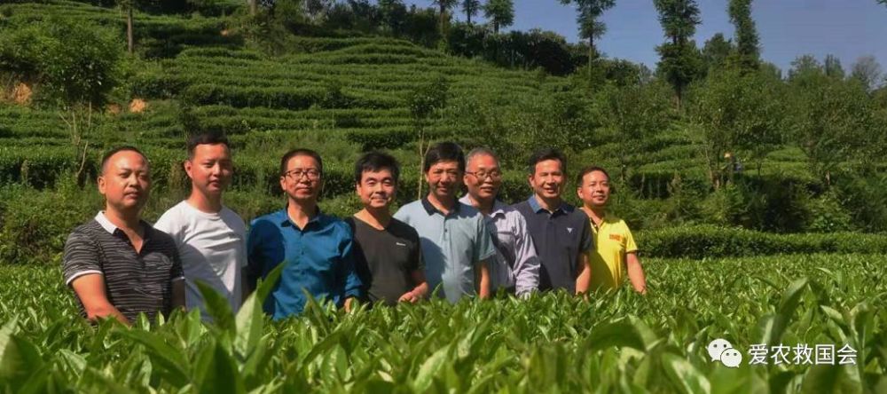 土壤微生物生态学与种植业 腾讯新闻