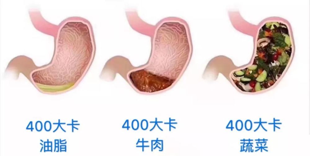 21排行榜丨no7为什么减肥要多吃蔬菜