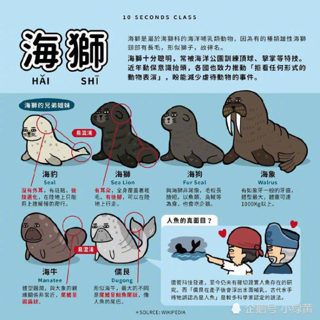 不要再傻傻分不清