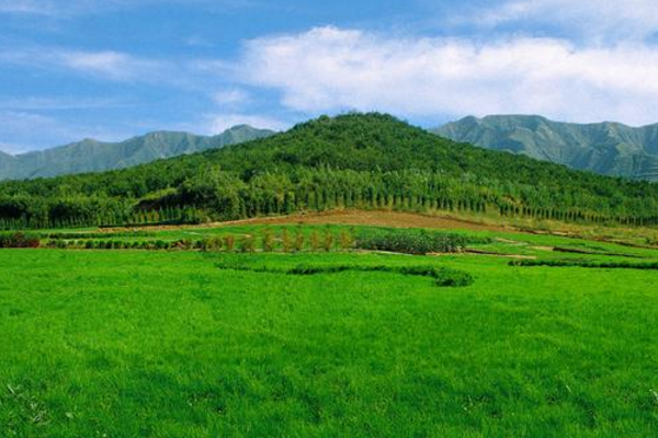 兵马俑中有1绿脸怪咖,专家至今无法解释,至今不敢让其出国展览