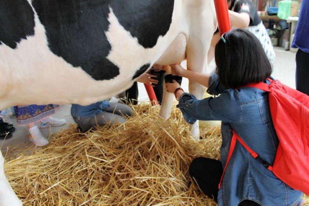 把书本画面变为现实, 童年不重样!