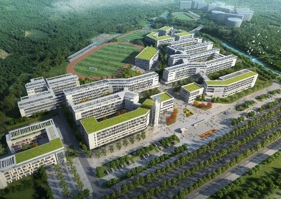 了不起洛阳一大波学校和老师被省里点名表扬