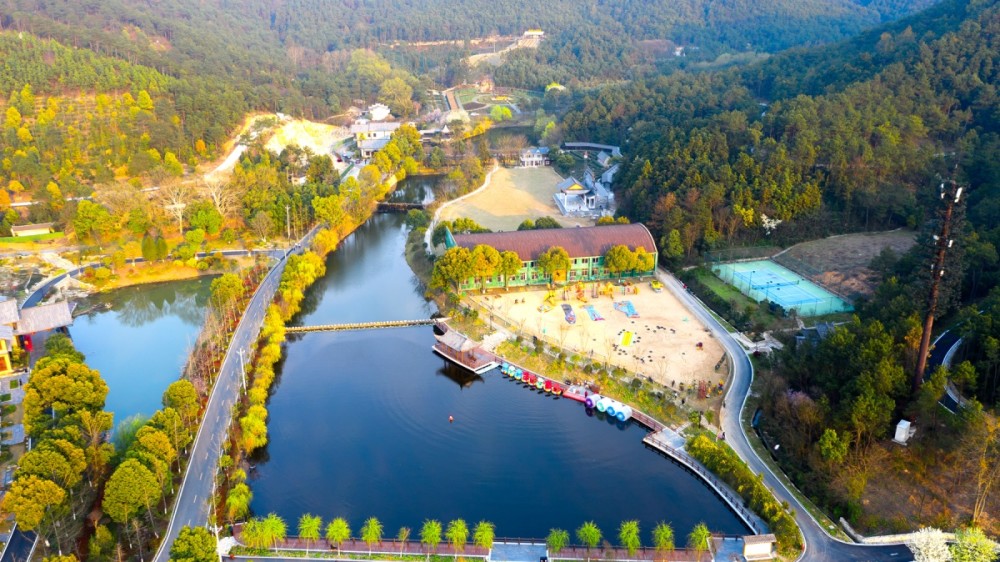 银杏纷飞!秋季的野村谷美成一幅画