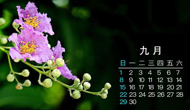 申城公园9月花展活动预告