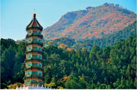 清代满洲第一女词人顾太清 带你走进她的人生