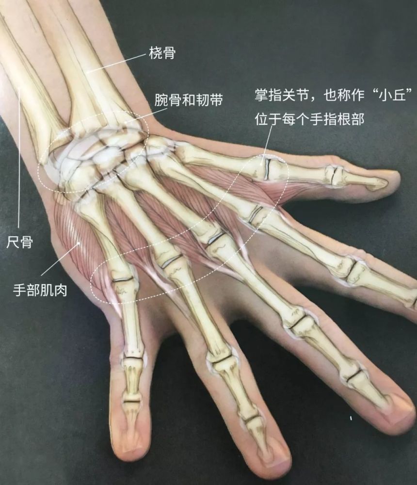 练瑜伽手腕疼?这个细节你要注意了