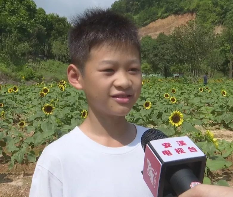 谢伟嘉 游客 觉得这些花很美 王诗洁 游客