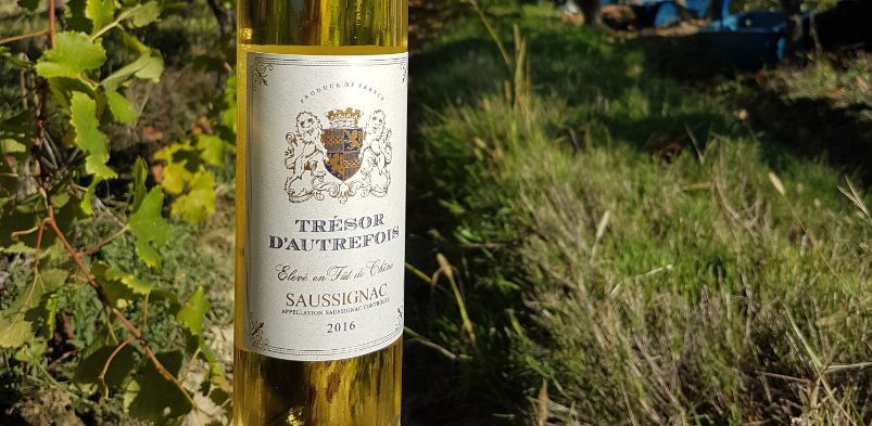 霉掉的葡萄也能酿酒 还是酿造的还是顶级葡萄酒 腾讯新闻