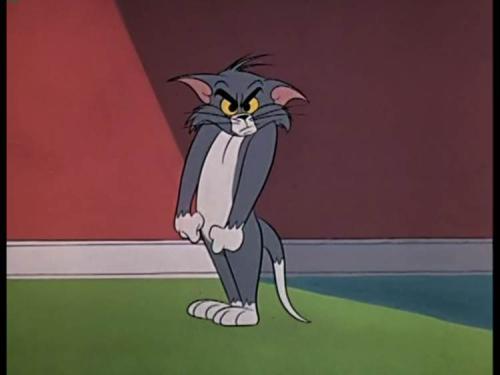 猫和老鼠一想到自己被吓得钻桌子汤姆决定我得抓住凶手