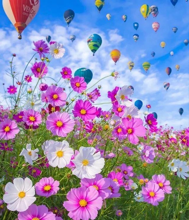 腾讯内容开放平台