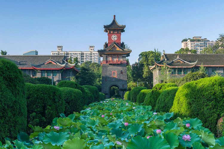 市武侯区人民南路三段17号(华西校区)[贴士]四川大学是全天自由开放