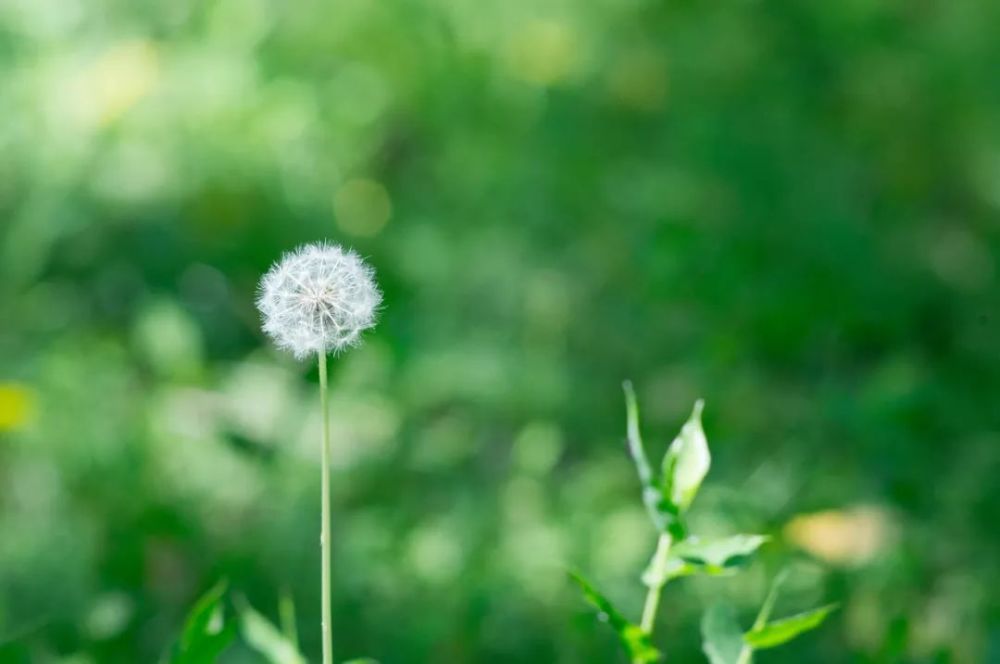 曾國藩:看人長處,幫人難處,記人好處