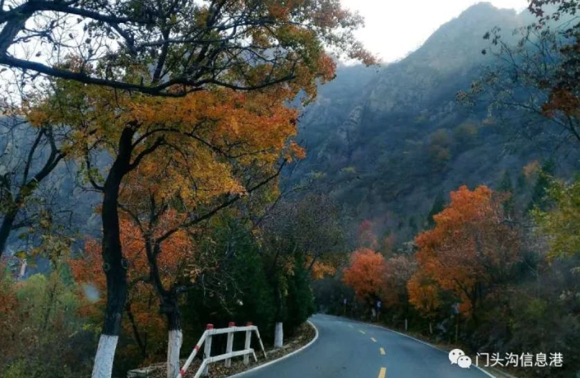 门头沟|安排！半个月后门头沟将变成北京最美丽的地方！