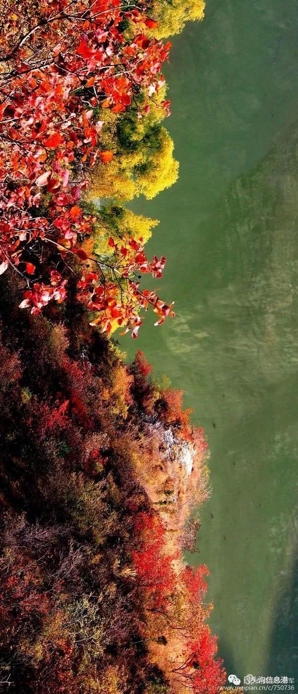 门头沟|安排！半个月后门头沟将变成北京最美丽的地方！