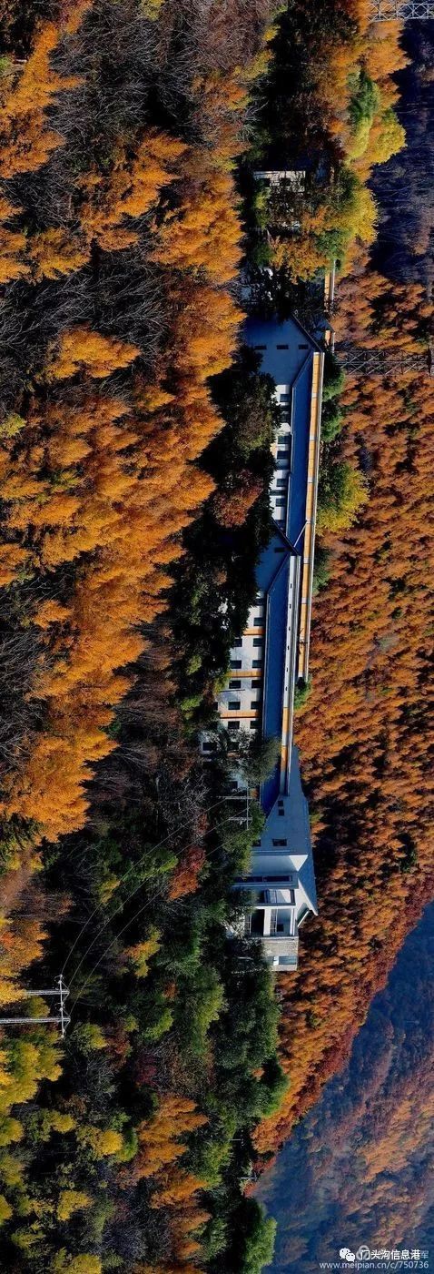 门头沟|安排！半个月后门头沟将变成北京最美丽的地方！