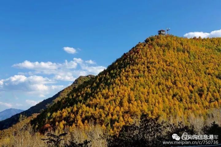 门头沟|安排！半个月后门头沟将变成北京最美丽的地方！