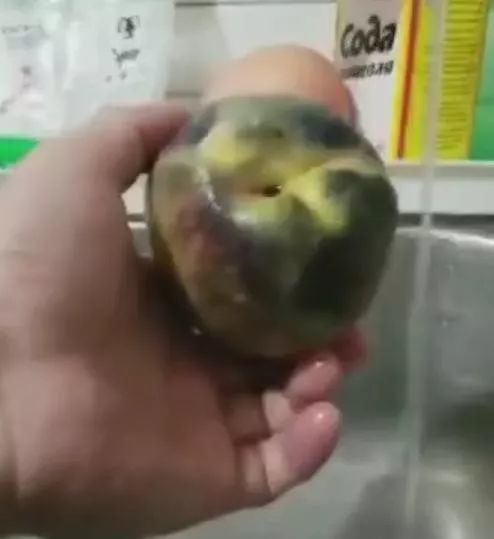 桃子|国产碱面洗桃子变黑，毒上加毒？真相到底是什么？