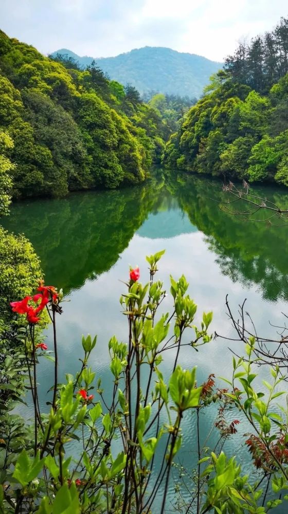 千年春谷,今日南陵!