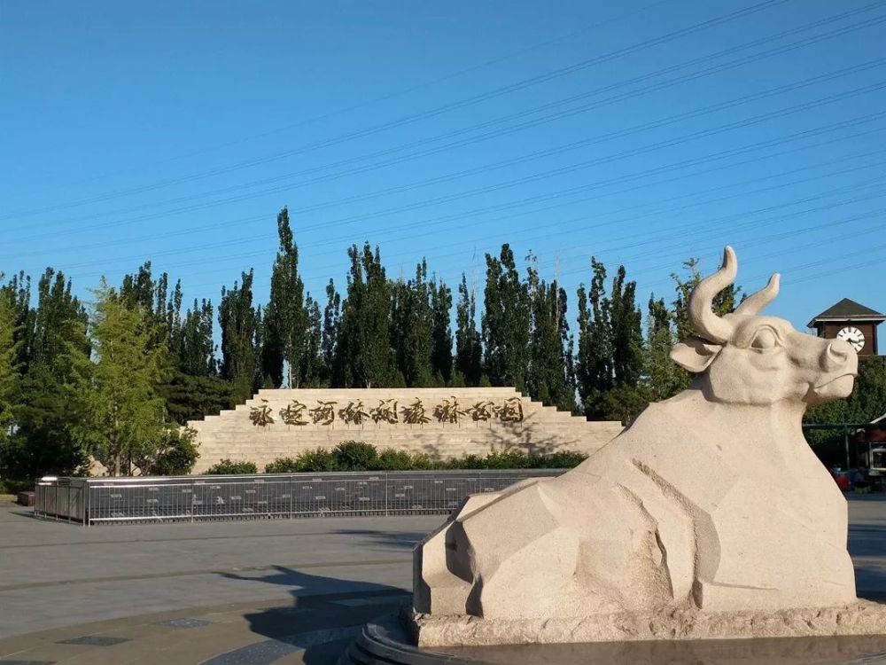 这个园内跑火车的公园 就是 永定河休闲森林公园 观光火车 公园浇 