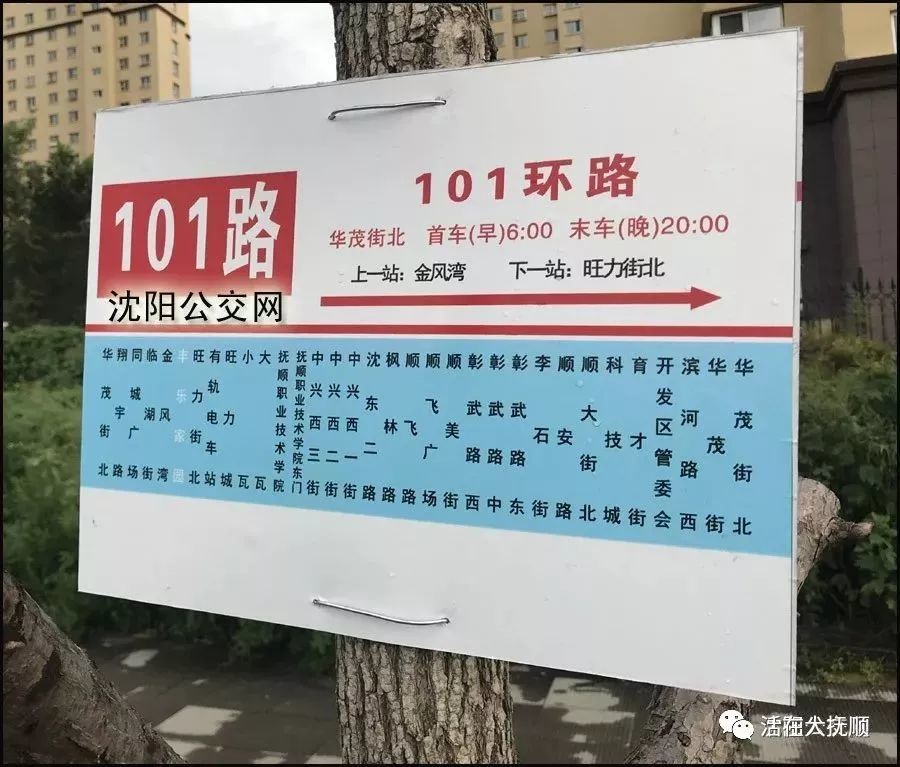 改線,加密車隔之後的101路極大的方便了豐樂家園,伯官美苑等小區居民