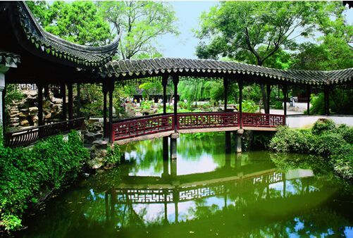 苏州拙政园的太湖石