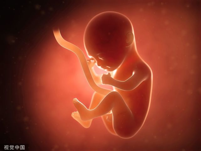 胎儿三个月时,这些特征已经基本定型,后期再想改变很难
