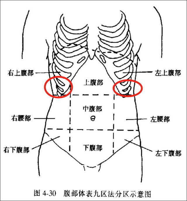 杨幂的水蛇腰佟丽娅的沙漏腰都比不上这个51cm人间腰精