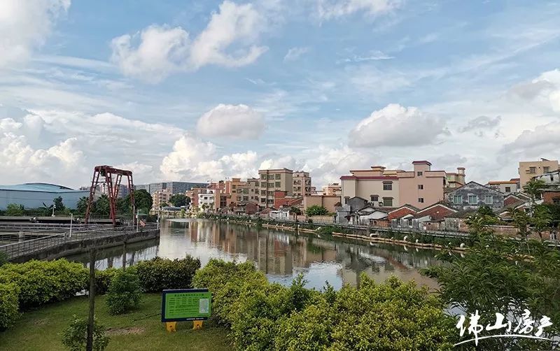 佛山小学排名2020_喜讯南沙小学在2020年佛山市小小科学家比赛中斩获好