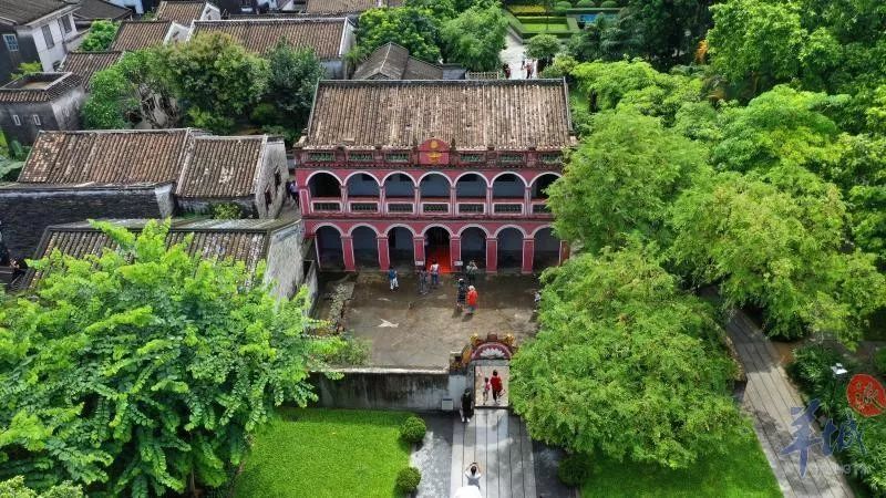 被苏神妥妥圈粉 他的广东老家 也早该火了 腾讯新闻